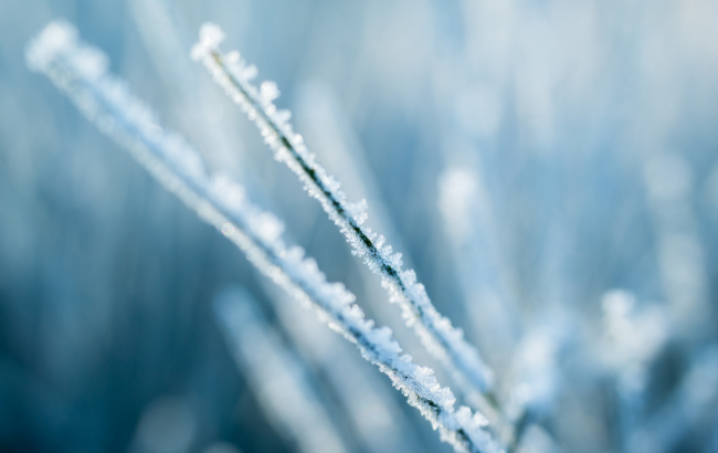Гололедица и сильный ветер: синоптики дали прогноз погоды на 28 ноября